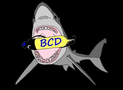 Welcome to the Bradford City Divers Twitter. Follow us to keep updated on diving trips, socials, meetings and more. Open to all.
