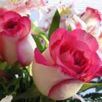 bhushan3 singh (@bhushan3singh) 's Twitter Profile