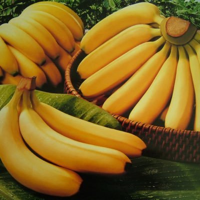 tadaima75's profile picture. 