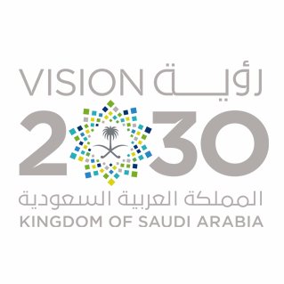 Saudi Vision 2030 Profile