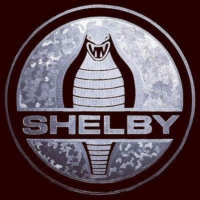 Facebook : Shelby2412 Instagram : Shelby.Skander Snapchat : Shelby.2412