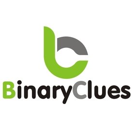 @BinaryCluesCorp