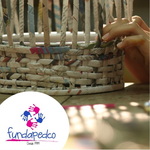 fundapedco's profile picture. 