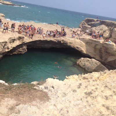 tazzaun's profile picture. 