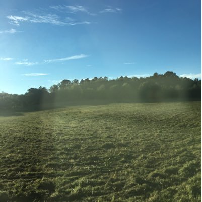 Brand New Twitter account looking to make future YouTube videos
