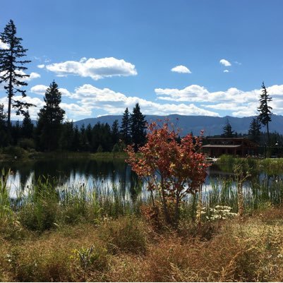 RloweRobin's profile picture. 