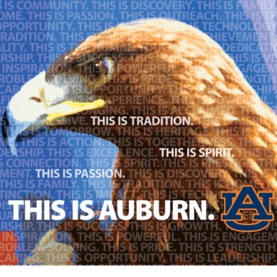 WarEagle_Nation Profile Picture