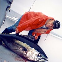 Joe Bielawski (@amarinerjoe) 's Twitter Profile