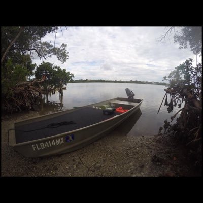 MayeDaylan's profile picture. One day at a time 🌴🍊