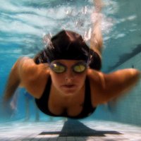 Pool Guru (@y_pools) 's Twitter Profile