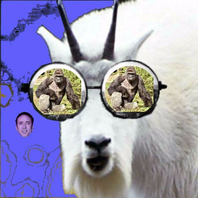 TheRealGoatbury's profile picture. We have the bleat