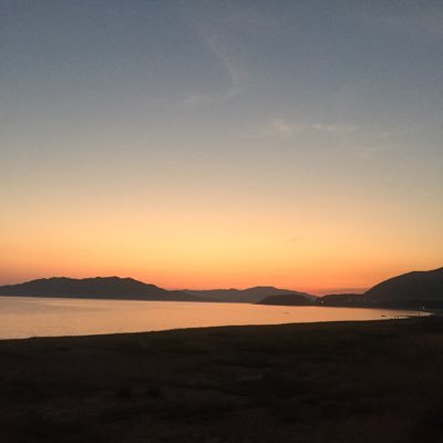 LN7838's profile picture. 