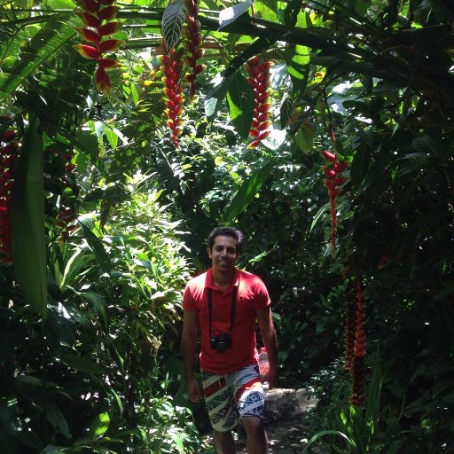 WorldTravelerMx's profile picture. 