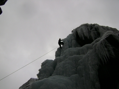 camcarter's profile picture. 