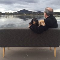 Canberra’s Art Biennial (@contour556) 's Twitter Profile