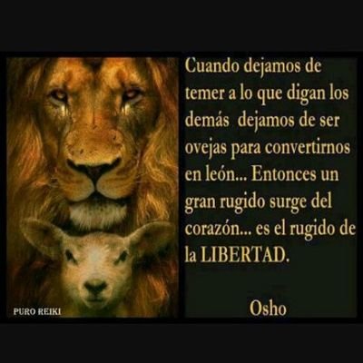 FernandoSoler_'s profile picture. Fernando Soler / Capricorniano 🐐🐐🐐🐐🐐