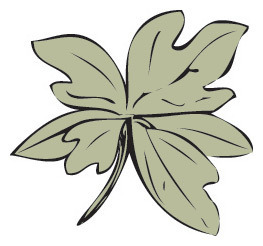 SassafrasPDX's profile picture. Amazing Southern food in Portland, Oregon.