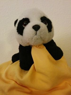 thechrizine's profile picture. 