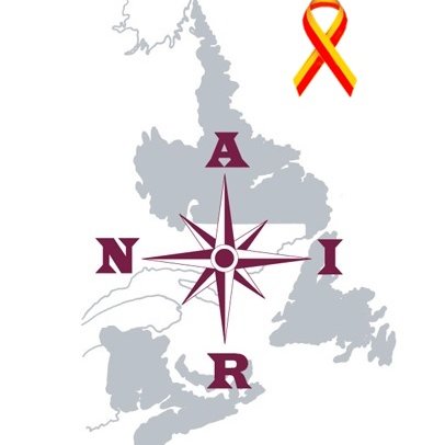 AIRN is a network of over 265 individuals and  organizations working in the areas of HIV, hepatitis C and other STBBIs in the Atlantic region.