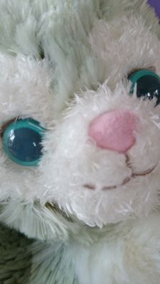 くうさんのプロフィール画像