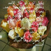 ابوهيثم المضياني (@nn1403f) 's Twitter Profile