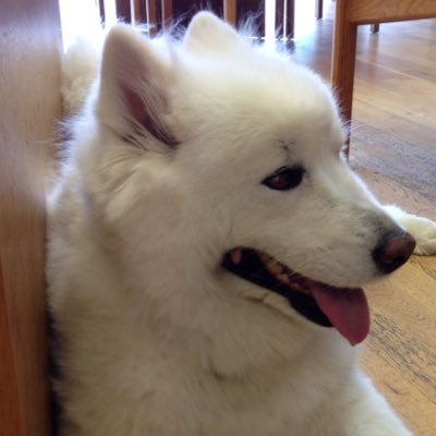 MoloneyEstates's profile picture. Letting management and Sales agency Contact us on 01707873126 and estates@Moloneys.info all our calls are recorded