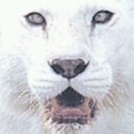 Alb1noPanther's profile picture. There is no limit to how bad things can get.