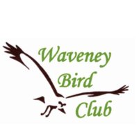 Waveney Bird Club(@WaveneyBirdClub) 's Twitter Profile Photo