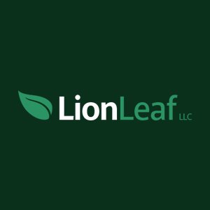LionLeaf is the website design company that is also a search engine optimization (SEO) agency all rolled into one. Let us help you succeed!