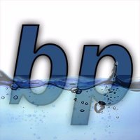Bisbalpress (@bisbalpress) 's Twitter Profile