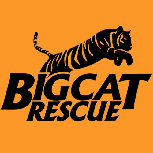 Big Cat Rescue