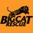 BigCatRescue avatar