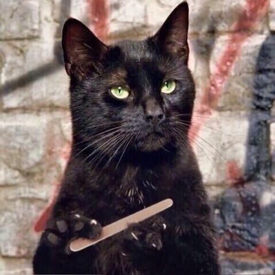 AleDaav456's profile picture. 