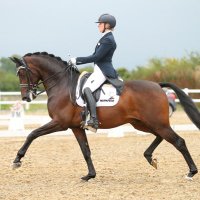 Sara Gallop (@srgallop) 's Twitter Profile