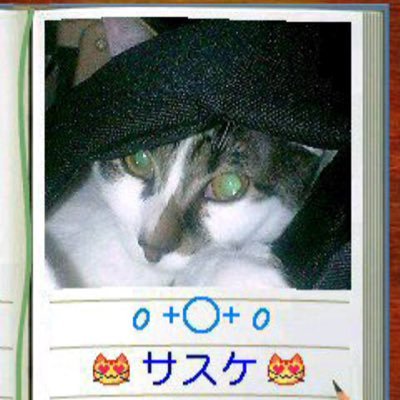 mitsu_mama10's profile picture. 10月25日に元気な女の子を出産しました🌸 ◆ママ友募集中です💕 コメント、DM、wowappから気軽に話しかけてください♪