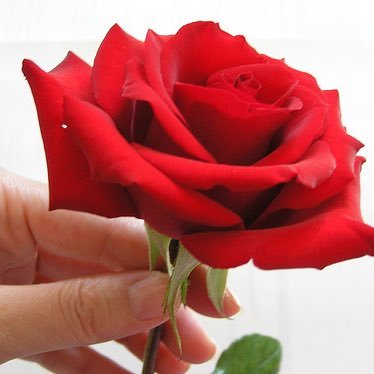 123Mzal's profile picture. 