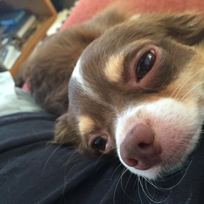 korilakkuma85's profile picture. UVERworld兵庫crew ウーバーしか勝たん🥺👊一生続けて欲しいバンド crewは無言フォローしていることが多くてすみせん💦