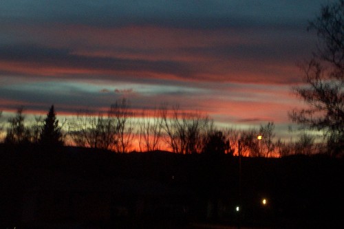 Java_Lover's profile picture. 