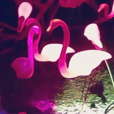 akiakiamamam's profile picture. 