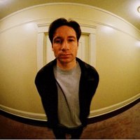 Scully Mulder (@xfilesthoughts) 's Twitter Profile