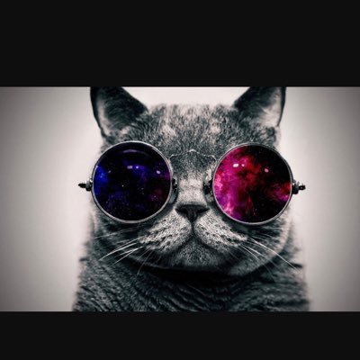 saucyenchiladas's profile picture. 