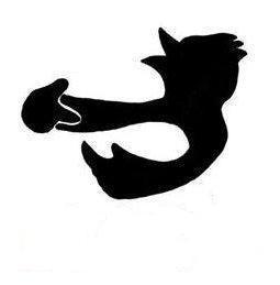 hiroshipals's profile picture. 岐阜県に住んでいます。名古屋大学出身、OLCルーパー所属。