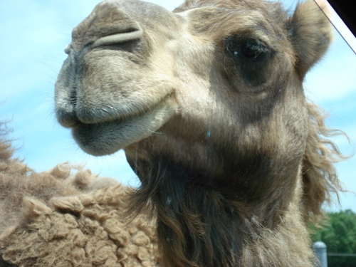 kaylamnop's profile picture. 