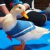 Ducky 🦆 (@oceanthorn) Twitter profile photo