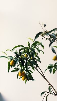 runtoyou0628's profile picture. 