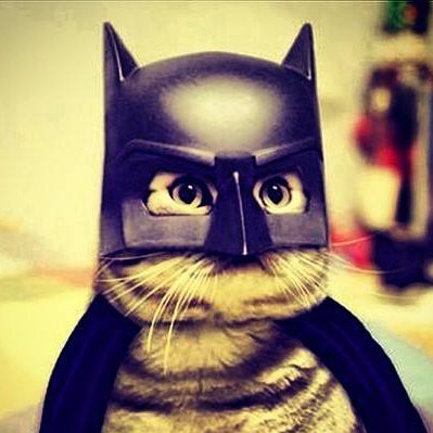 ExpatRat13's profile picture. Eeeeeeeeeeeeeeeekkk!!!