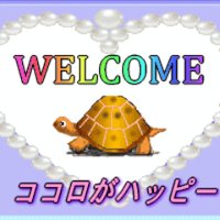 こころ (@kokohapi) 's Twitter Profile