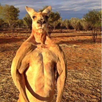 PoseidonPlayzz's profile picture. 