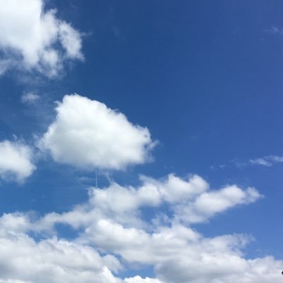 vatsabronia's profile picture. 