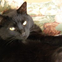 Lydia MarieM (@lydia_mariem) 's Twitter Profile Photo